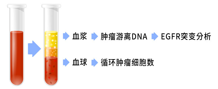 抽血8~10ml即可检测